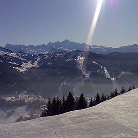 Les Gets Le Grand Paradis 外观 照片